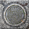 O1633 : Coal hole cover, Dublin by Rossographer