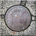 O1633 : Coal hole cover, Dublin by Rossographer