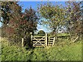 SD6375 : Footpath gate by Adrian Taylor