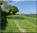 SO5392 : The Jack Mytton Way at Wenlock Edge by Mat Fascione