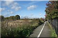 TQ0465 : Pathway beside Addlestone Moor by Des Blenkinsopp