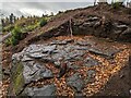 SJ3819 : Nesscliffe hillfort rock cut ditch by TCExplorer