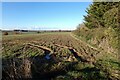 TL8237 : Footpath to Audley End by Geographer