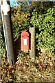 TL8338 : Bulmer Brickworks George V Postbox by Geographer