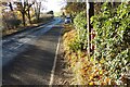 TL8338 : Hedingham Road & Bulmer Brickworks George V Postbox by Geographer