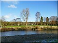 SE0948 : River Wharfe past Ilkley golf course (2) by Stephen Craven