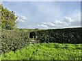 SJ7953 : Field corner at Foxley Farm by Jonathan Hutchins