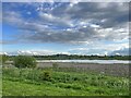 SJ9024 : Creswell Flash, Doxey Marshes by Jonathan Hutchins