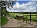 SJ8539 : Track leading up to Kingswood Bank by Jonathan Hutchins