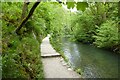 SK1452 : Path in Dovedale by Philip Halling