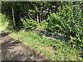 SJ8146 : Platform edge at former Silverdale Station by Jonathan Hutchins