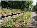 SJ8146 : Platform edge at former Silverdale Station by Jonathan Hutchins