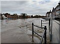 SO7875 : Flood barriers along Severn Side South, Bewdley by Mat Fascione