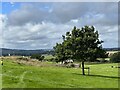 SO7823 : View from Hartpury House by Jonathan Hutchins