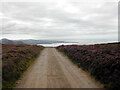 SH3645 : The North Wales Pilgrim's Way going south by Rod Grealish