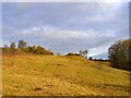 SE4630 : Ledsham Bank Nature Reserve by Graham Hogg