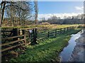 NZ0461 : Floodbank and fences at Bywell by Oliver Dixon