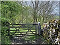 SD3980 : Hampsfield Allotment gate by Adrian Taylor