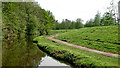 SO8378 : Canal approaching Kidderminster in Worcestershire (set of 2 images) by Roger  D Kidd