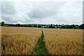 SO3288 : Footpath to Oakeley Farm by Jeff Buck