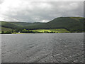 NT2522 : View south across St Mary's Loch to Bowerhope Law and farm by Rod Grealish