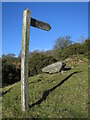 SO3296 : Mucklewick Walk sign post by Dave Croker