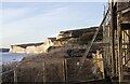 TV5596 : Clifftop vegetation at Birling Gap, East Sussex by Andrew Diack