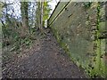 SJ4006 : An unofficial way up to the former railway? by TCExplorer