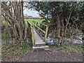 SJ3906 : Footpath footbridge in Pontesbury by TCExplorer