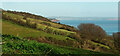 SX9269 : Fields above Herring Cove by Derek Harper