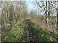 SE4027 : Floodbank bridleway, River Aire by Christine Johnstone