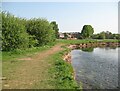 NY3954 : Riverside footpath by Adrian Taylor