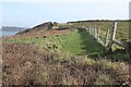 SM8403 : Coast Path on cliff top by M J Roscoe