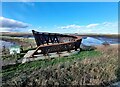 NZ5025 : Bird hide at Greatham Creek Bridge by Oliver Dixon