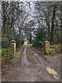 SO8911 : Gateposts, Ebworth by J I Cheetham