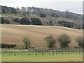 TQ0348 : Albury Downs - North Downs Scarp Slope by Colin Smith