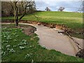 SJ5504 : Coundmoor Brook and snowdrops by TCExplorer