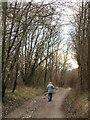 TQ0448 : Newlands Corner - Trackway by Colin Smith