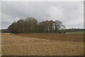 TL8866 : Suffolk farmland by N Chadwick