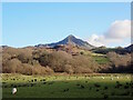 SH6446 : Cnicht of the Moelwyn massif by Phil Brandon Hunter