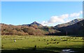 SH6446 : Cnicht of the Moelwyn massif by Phil Brandon Hunter