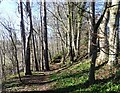 NZ0750 : Path to old iron furnace at Allensford by Robert Graham