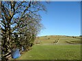 SE0361 : Meadow beside the River Wharfe by Adrian Taylor