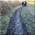 SP2965 : Muddy path, Myton by Robin Stott