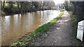 SD9947 : Looking south along the Leeds and Liverpool Canal towards Hamblethorpe Swing Bridge by Roger Templeman