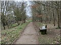 SO7876 : Path along the River Severn at Bewdley by Mat Fascione