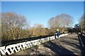 SP5005 : Pathway on Gasworks Bridge by Des Blenkinsopp