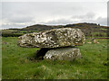 J5346 : Lough Money Dolmen by Rossographer