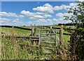 SJ6301 : Path and gate at Bradley Farm by Mat Fascione