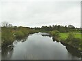 SE4843 : View downstream from Tadcaster Viaduct by Stephen Craven